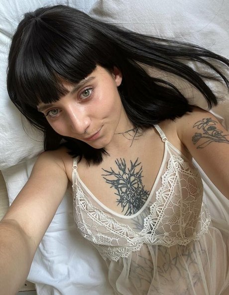 alazeya art pornstar galleries