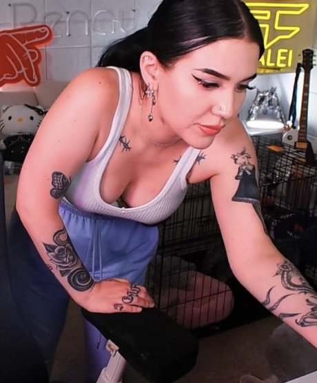 Kalei pornographic star pictures