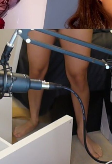 Cinnabrit star gallery