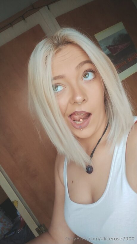 Alicerose7900 star exclusive archive