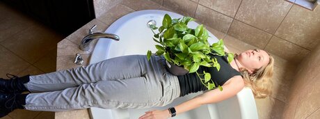 Pjonk hd star images