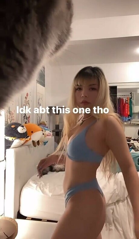 eggtardy pornstar best archive