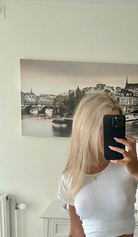 Bellalupascu nice star galleries