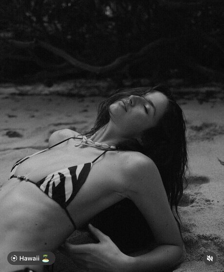 anfr00 free star images