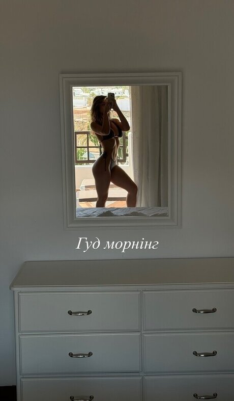 al9300 hot model photo