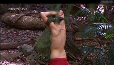 Ich bin ein Star Holt mich hier raus_ perfect star archive