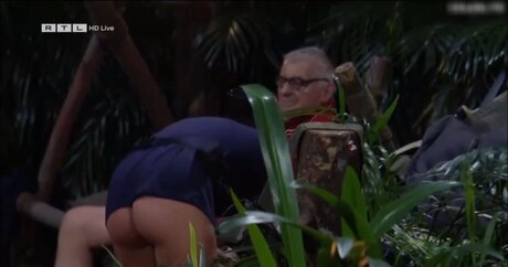 Ich bin ein Star Holt mich hier raus_ star adult pics