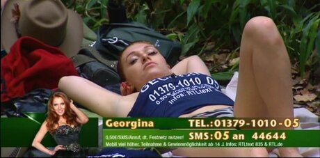 Ich bin ein Star Holt mich hier raus_ free star picture