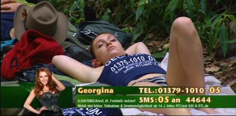 Ich bin ein Star Holt mich hier raus_ high quality model img