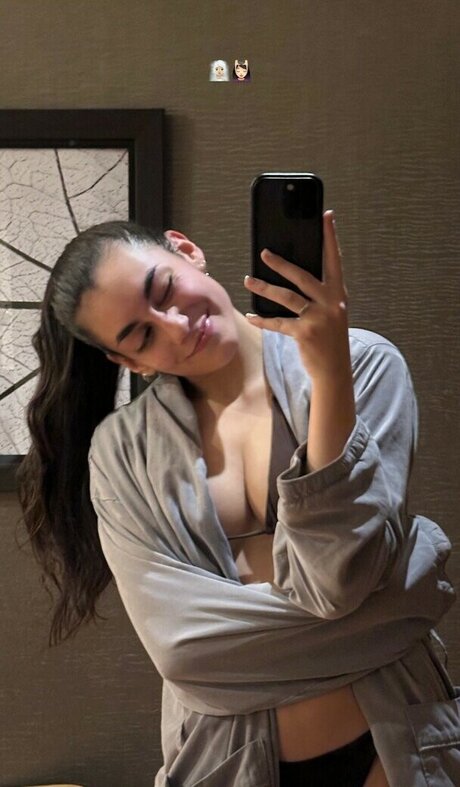 Espe Borr s star art galleries