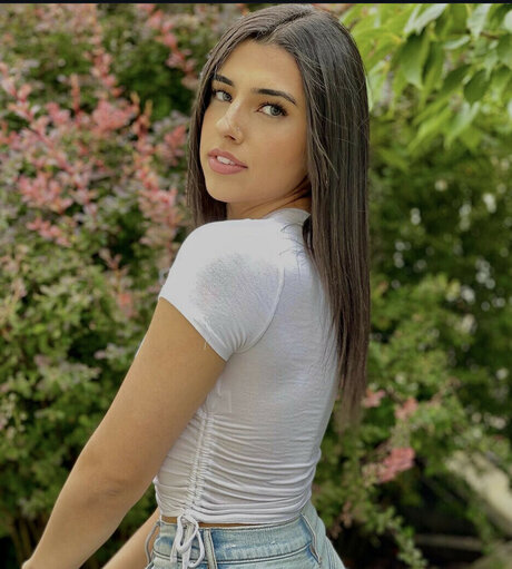 Gal Akbari pornstar art gallery