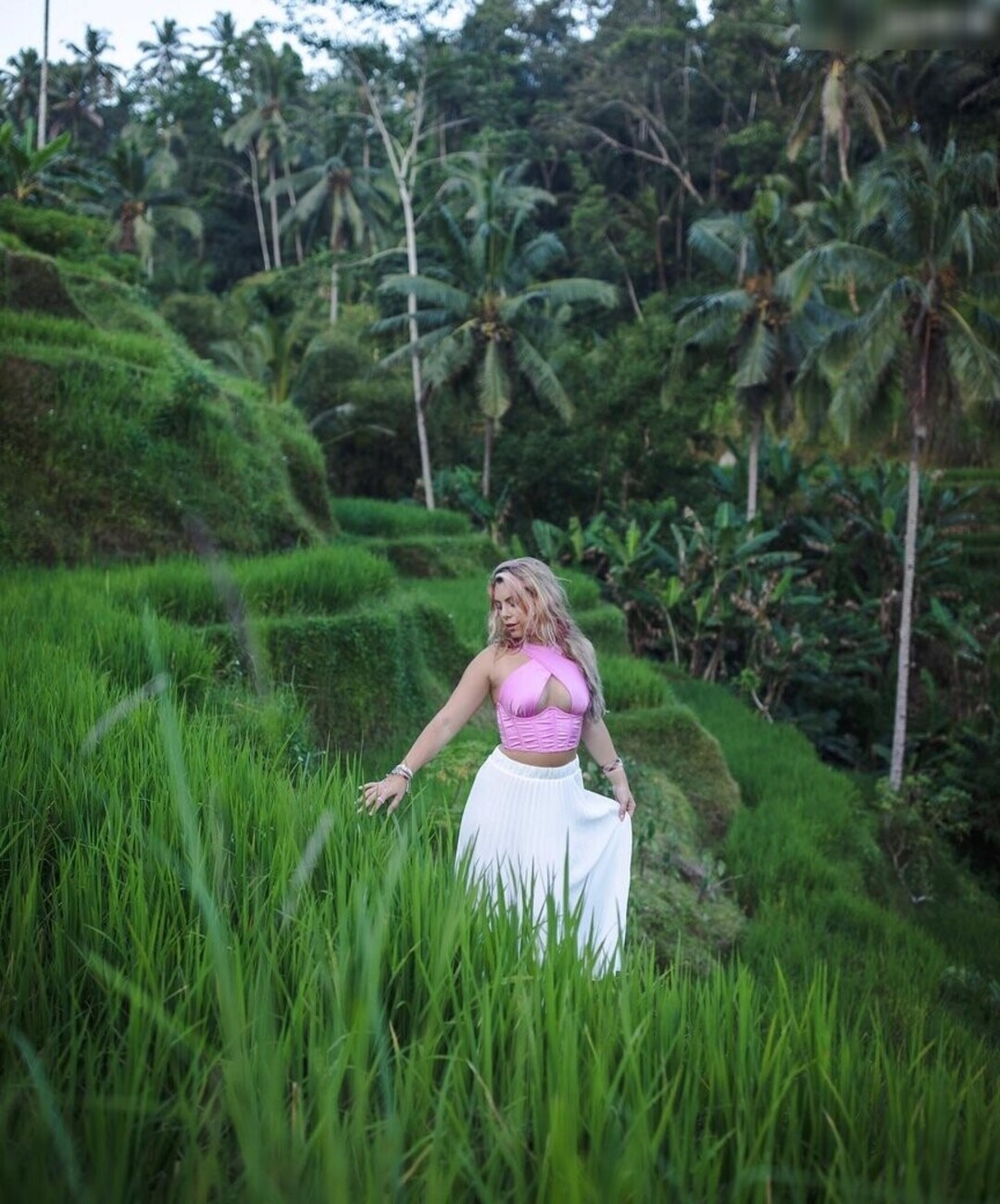 Chany Dakota nice star galleries