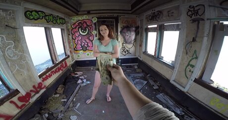 BreedingMaterial star art pic