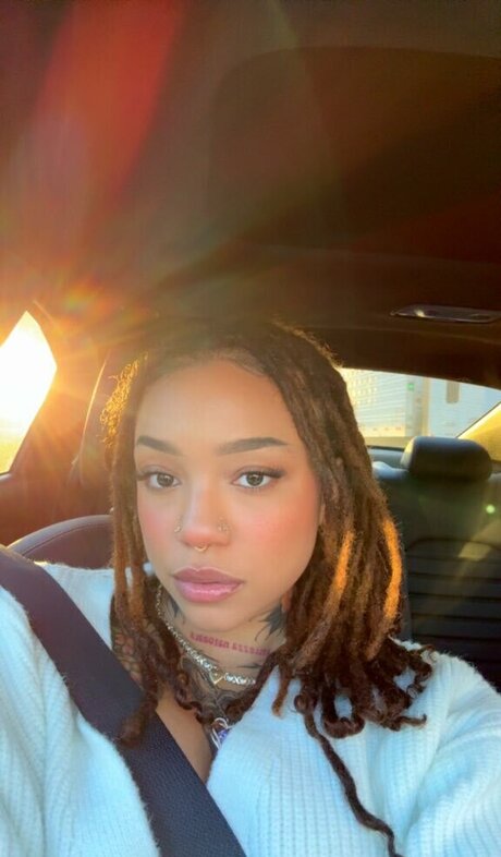 pimpsation star art galleries