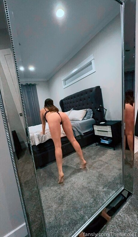 The Nicole T free pornstar image