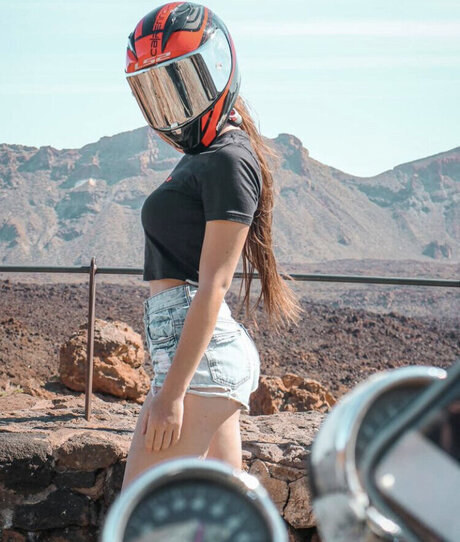 Affe auf Bike model perfect archive