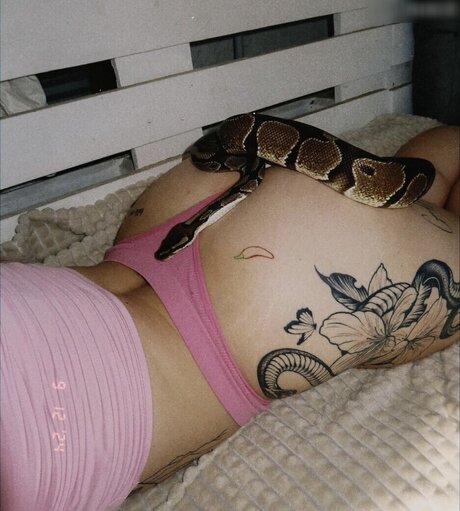 Luisa Fr h star nice img