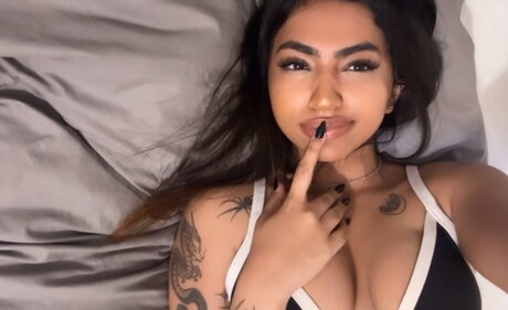 Fionee star free archive