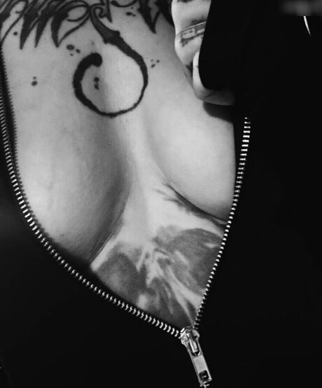 inked 93 star art gallery