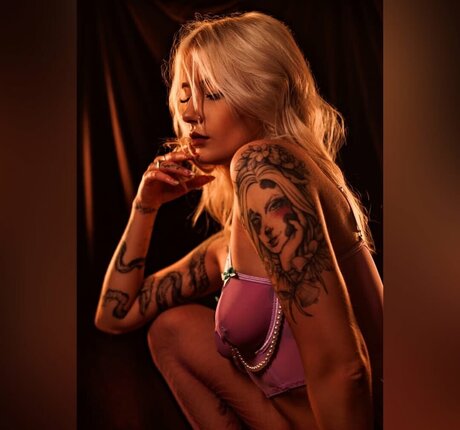 Brewi top model galleries