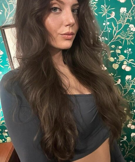 Theoreticalresearch model top image