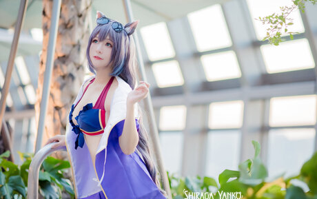 Shiraga Yanko pornstar hot picture