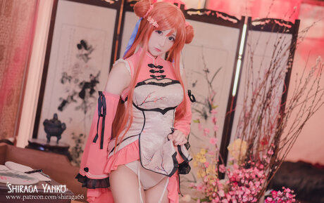 Shiraga Yanko model nice images