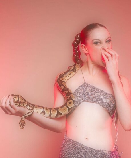 Biig Piig star high quality picture