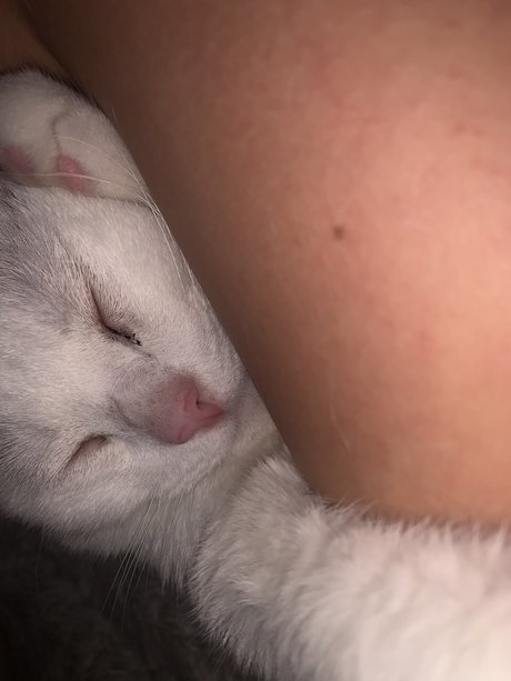 Gbby pornographic actress pictures