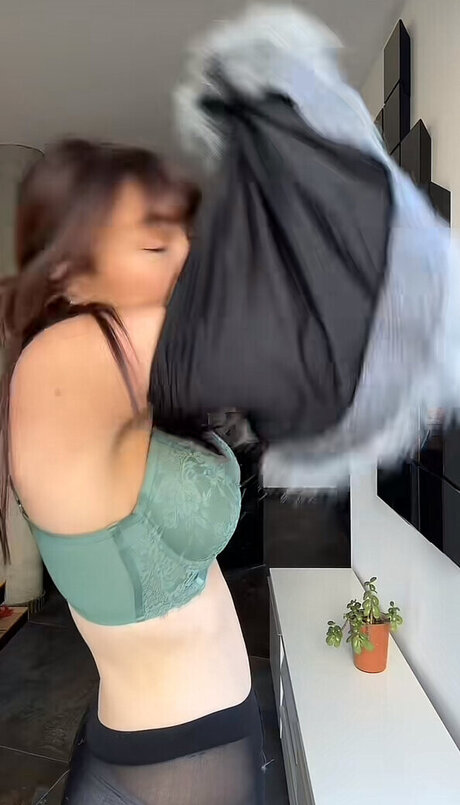 Sophodoph star top pic