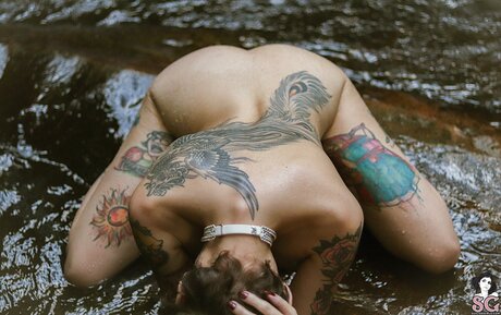 Dinhasun art actress photos