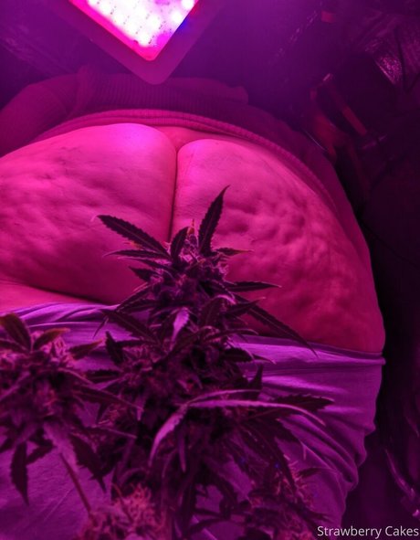 military onlyfans top pic