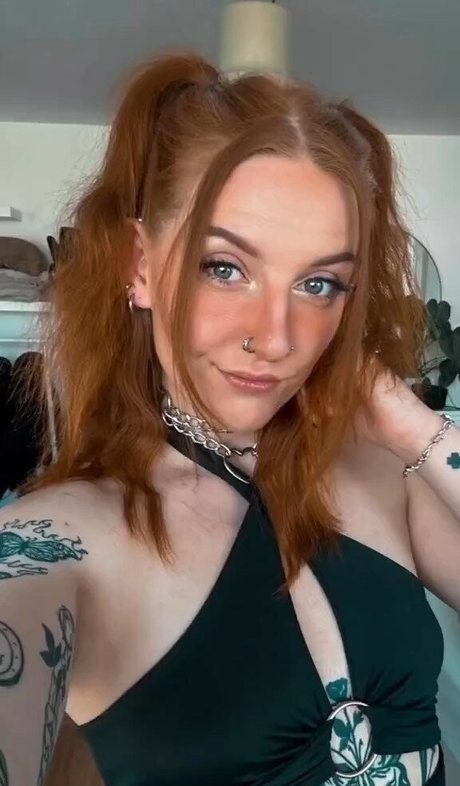 Towfacedkimmy star art gallery