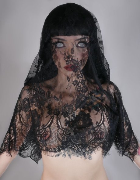 Owlicats model hot img