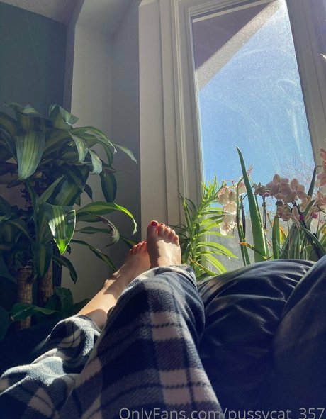 lingerie blowjob onlyfans free image