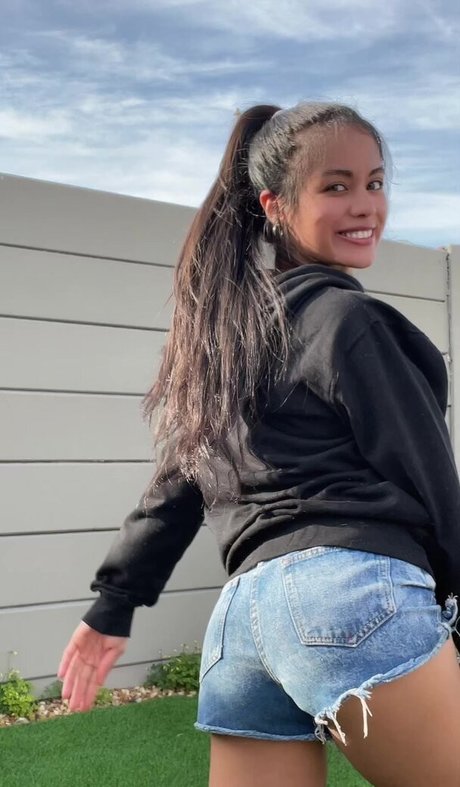 Fuzzybear hd model archive