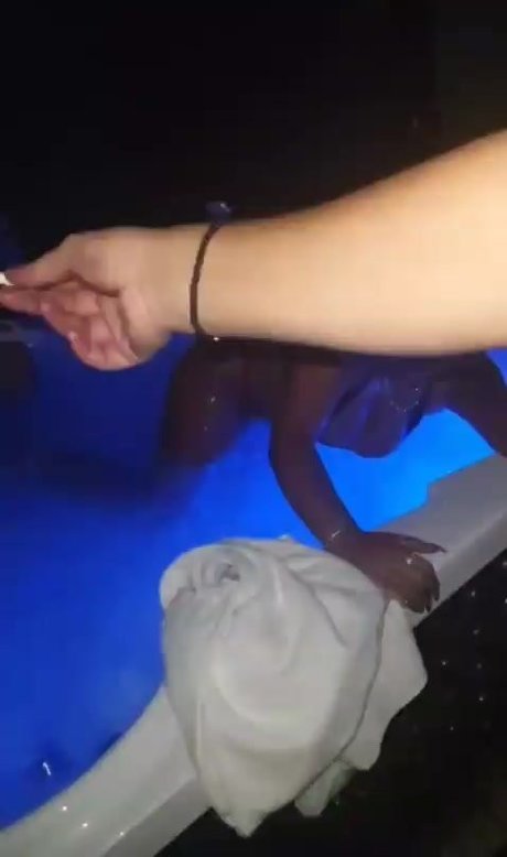 liatosh nice pornstar pictures