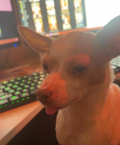 Suki Jade pornstar sexy galleries