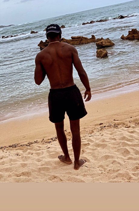 Bee Lee star free image