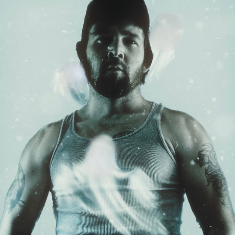 LionLikeMike star beautiful img