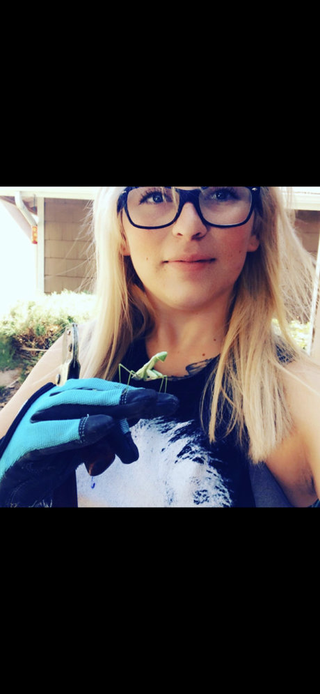 Lorraine Soto pornstar beautiful pic