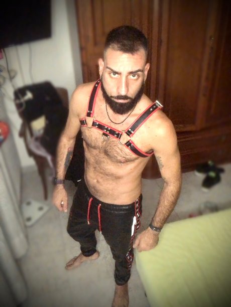 Lotus Gold model exclusive picture