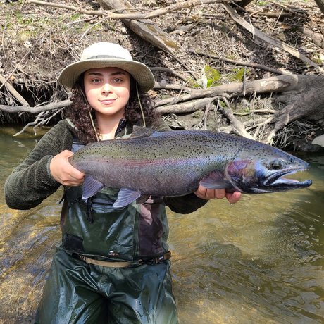 looncaster model top pics