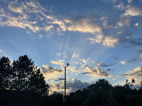 Adriana Lynn model naked pics