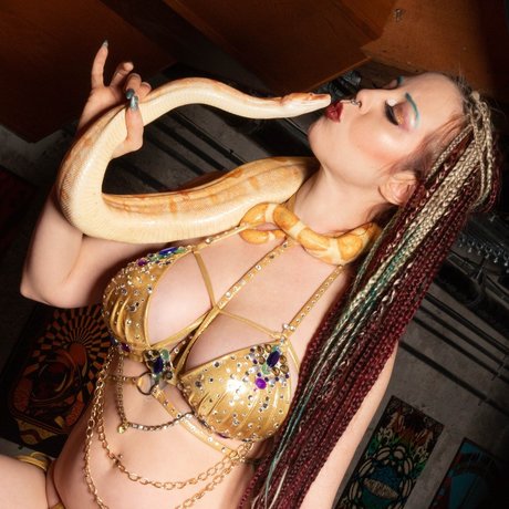 Lylith Hael porn star picture