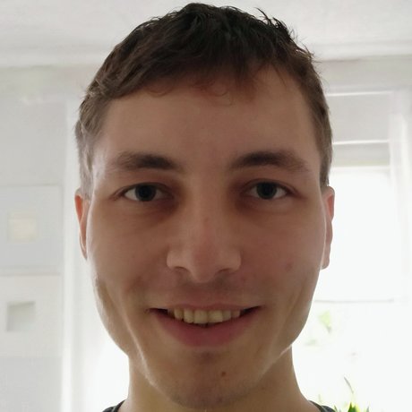 Lustful Pair_ free pornstar pictures