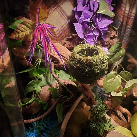 Luscious Lilth pornstar xxx galleries