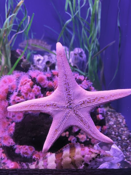 MamaBear008 model naked gallery