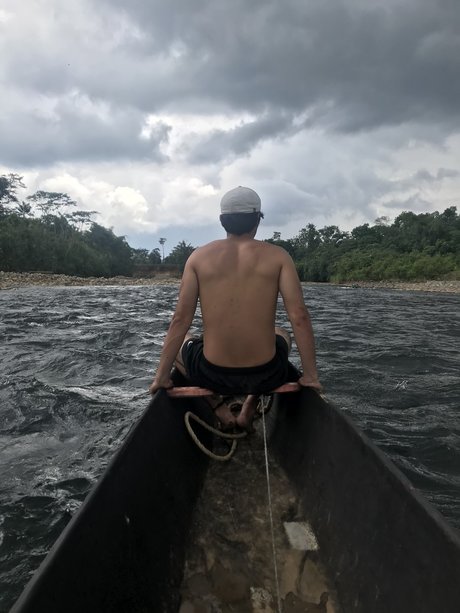 El Papi star perfect archive