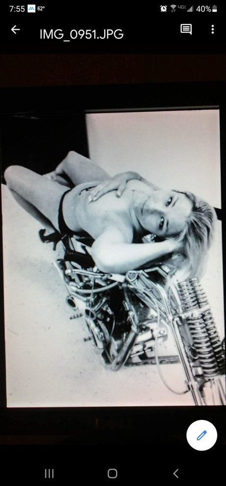 Melody Magnolia porn star picture